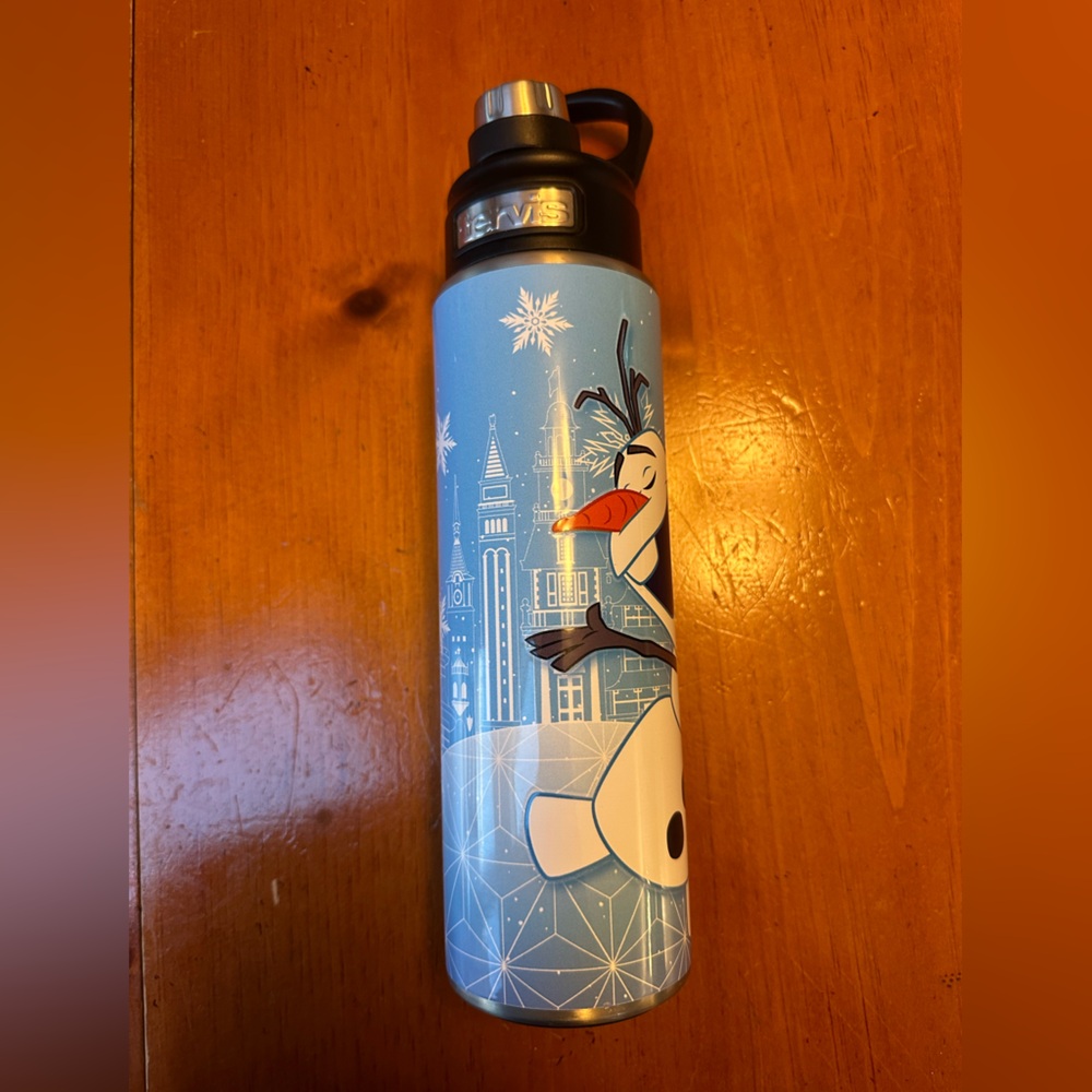 Disney Tervis water bottle